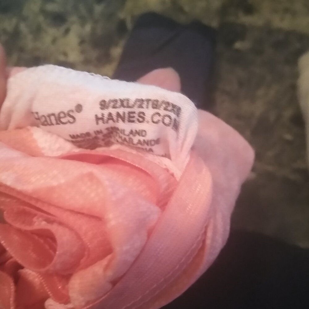 Hanes Briefs Panties - 4 - Size 9 plus 1 - Picture 2 of 3